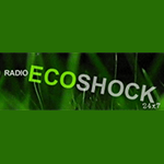 Ecoshock