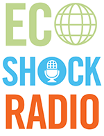 Eco Shock Radio